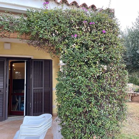 Tavolara Paradise Home Porto San Paolo  Exterior photo